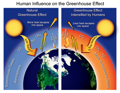 APP greenhouse effect V5